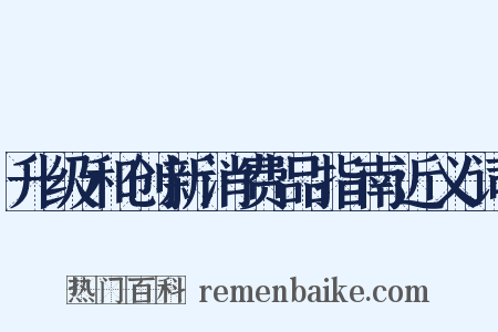 升级和创新消费品指南近义词是什么意思的图片